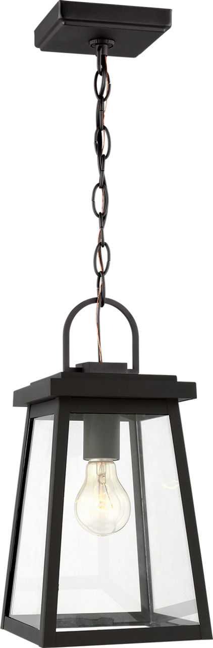 Founders Pendant in Black Frosted Bulb