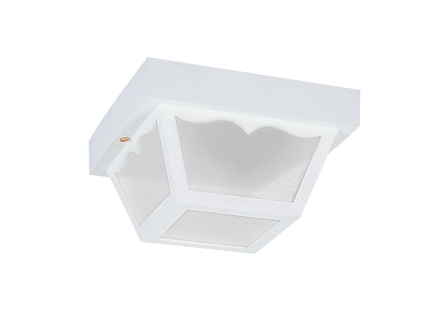 Outdoor Ceiling 2-Light Flush Mount