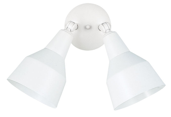 Two Light Flood Light With Shades