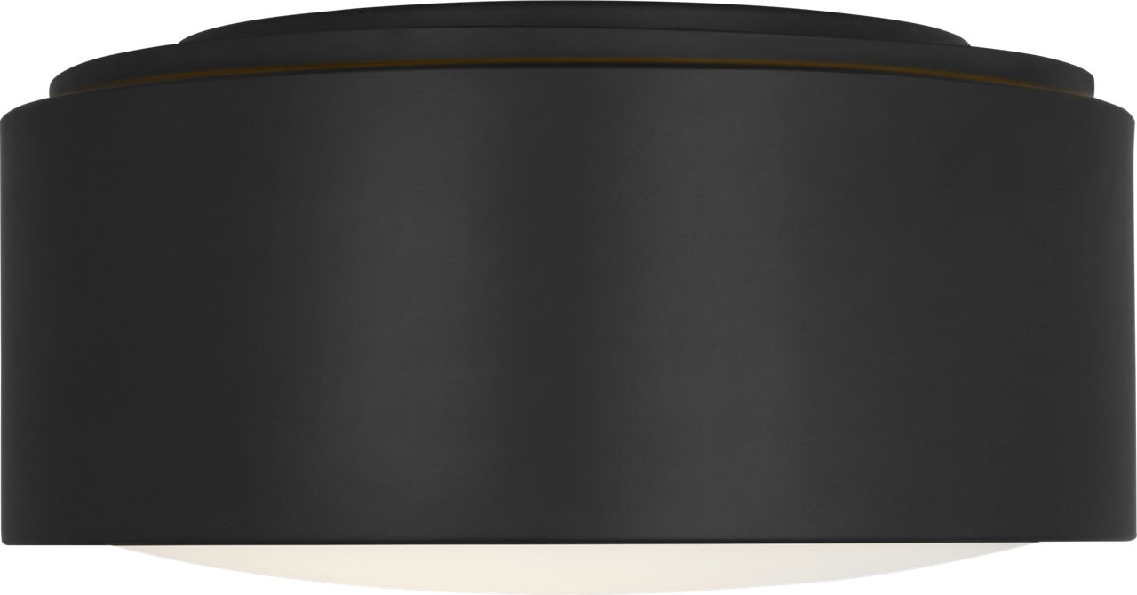 Albee Small Flush Mount Midnight Black