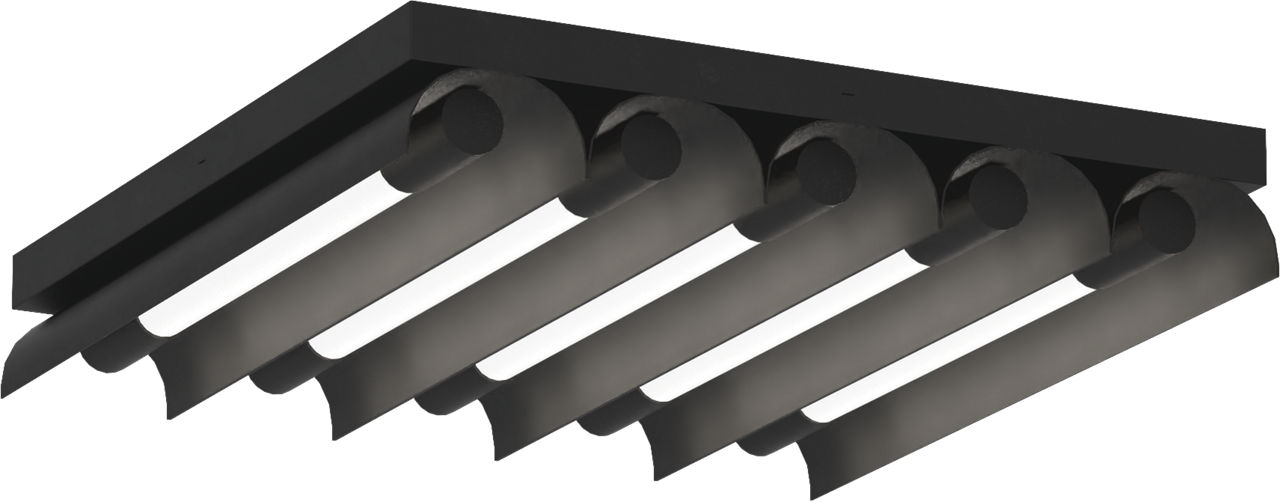 Carson Five Light Flush Mount Midnight Black Bulbs Inc