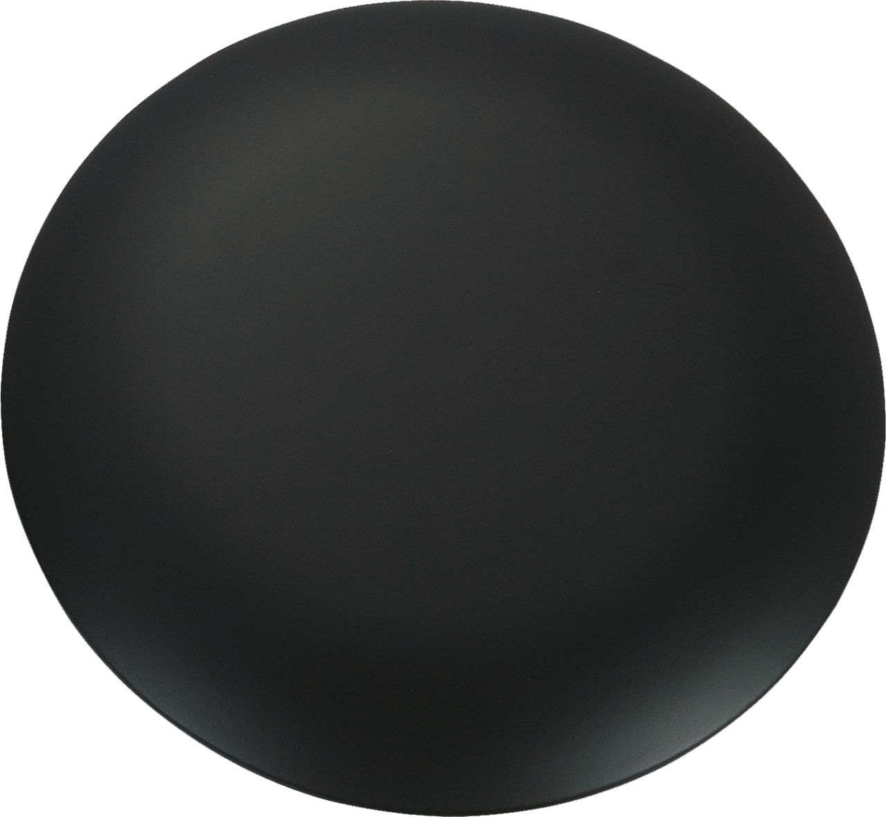 Discus Blanking Plate in Matte Black