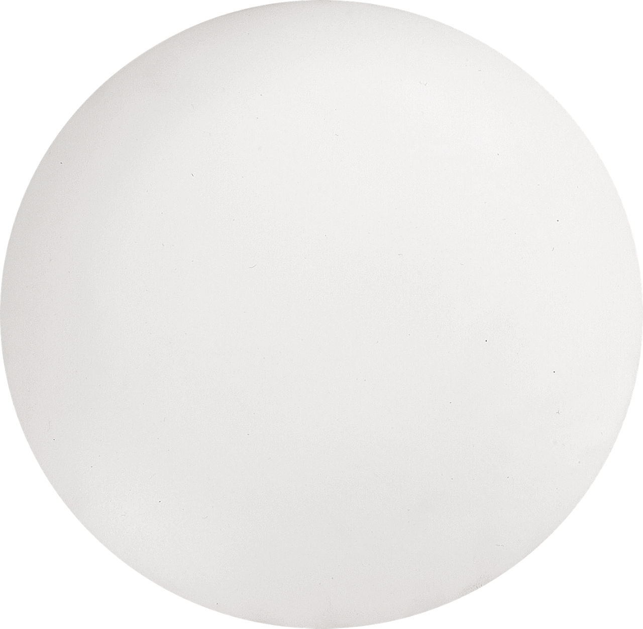 Discus Blanking Plate in Matte White