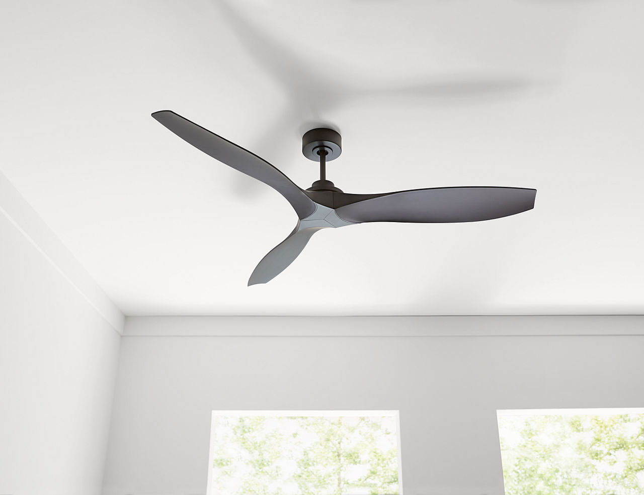 Collins Coastal Smart 60