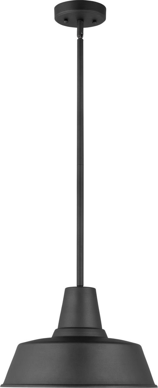 Barn Light Pendant - 6237401 | Visual Comfort