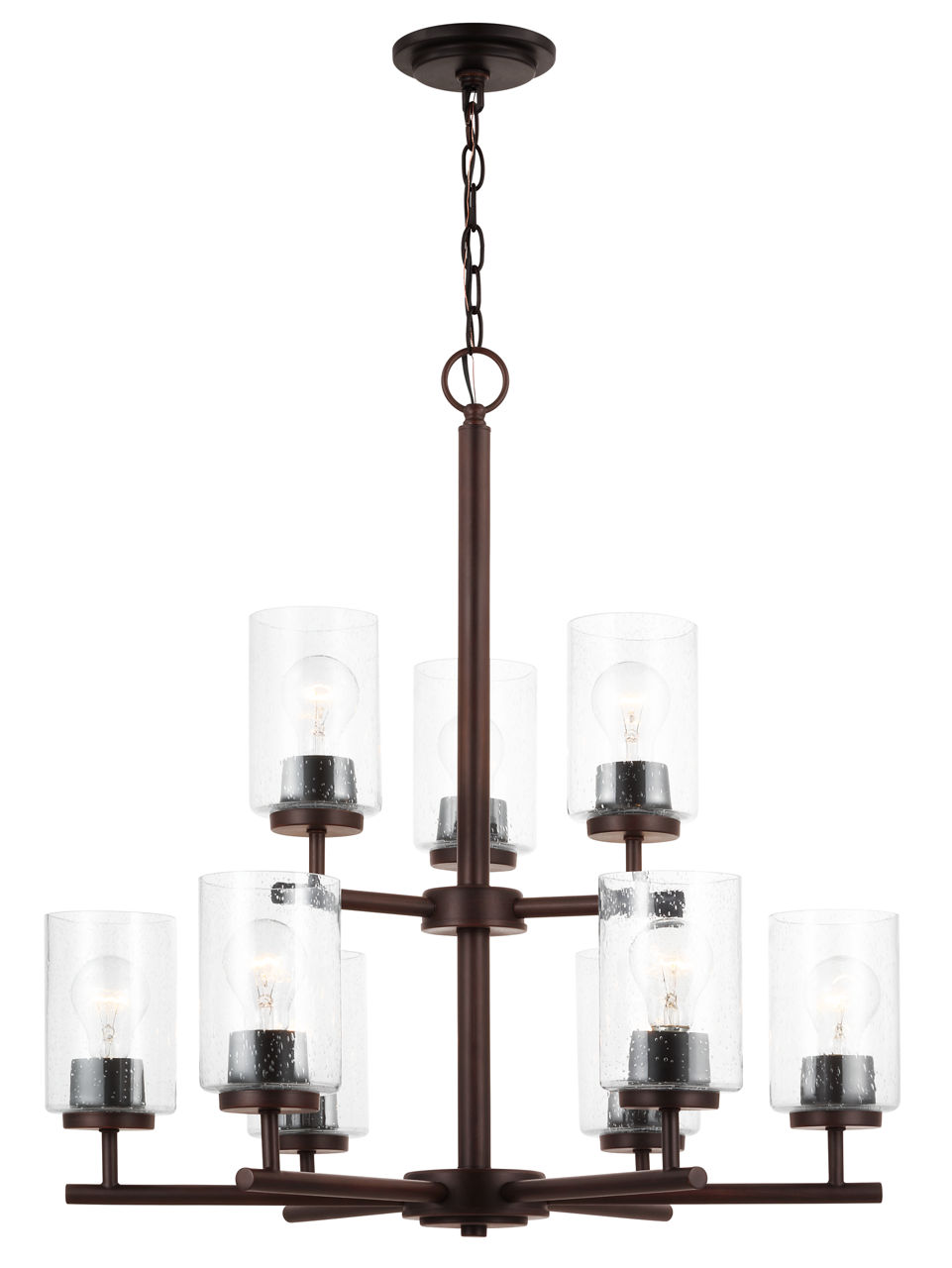 Oslo 9-Light Chandelier in Bronze with Clear Seeded Glass Bulbs Not Included