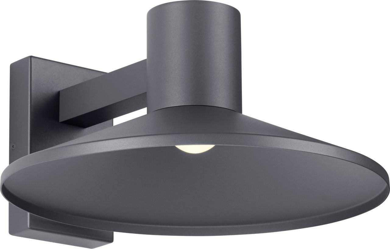 Ash 16 Outdoor Wall in Charcoal 2700K Dome Lens High Output