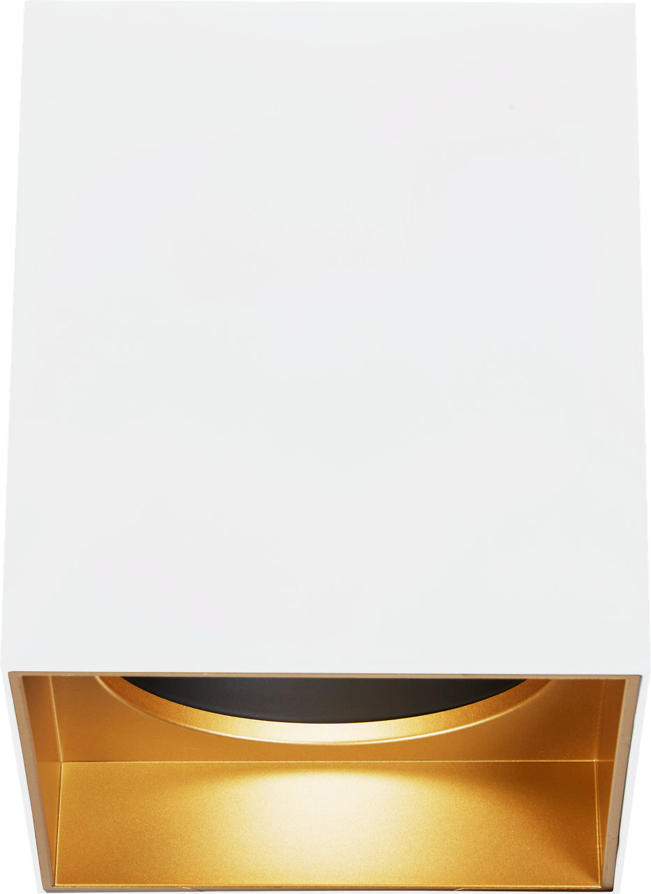 Exo 6 Flush Mount in Matte White with Gold Haze Interior 2700K 30