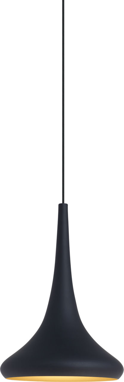 Noema Pendant in Black/gold Bulb Not Included