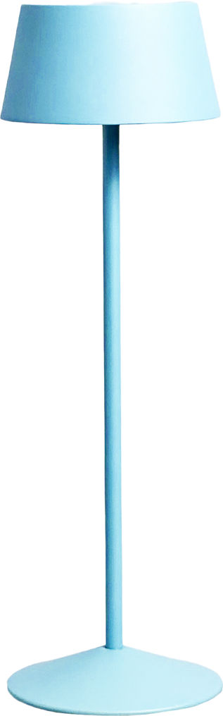 USTLRLSCO100IROBLU.png