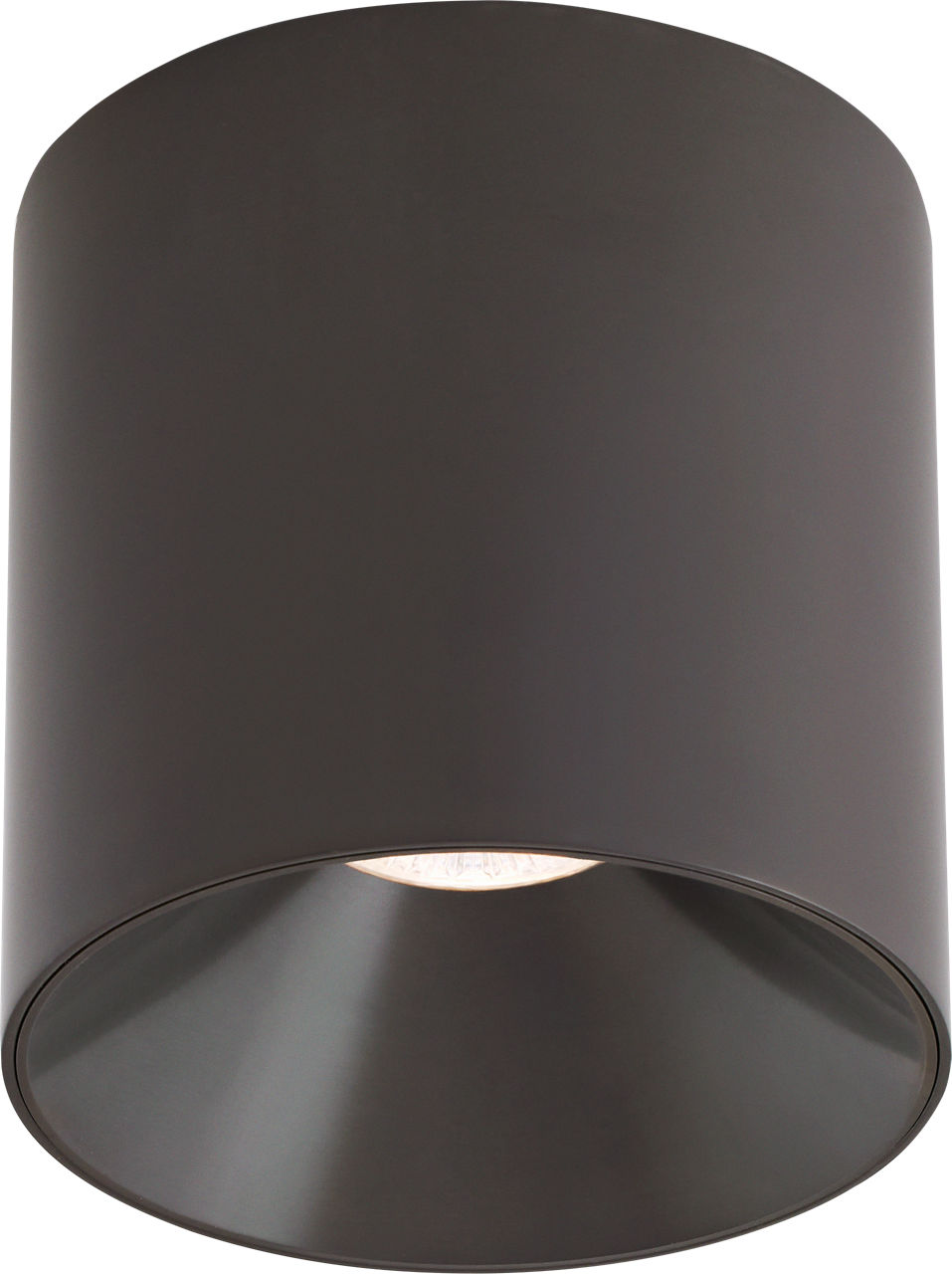 Flush Mount Lighting