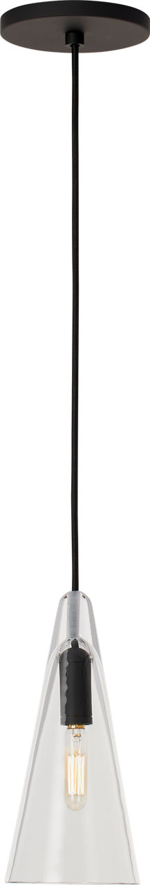 Selina Small Accent Pendant Clear Nightshade Black Bulb Not Included