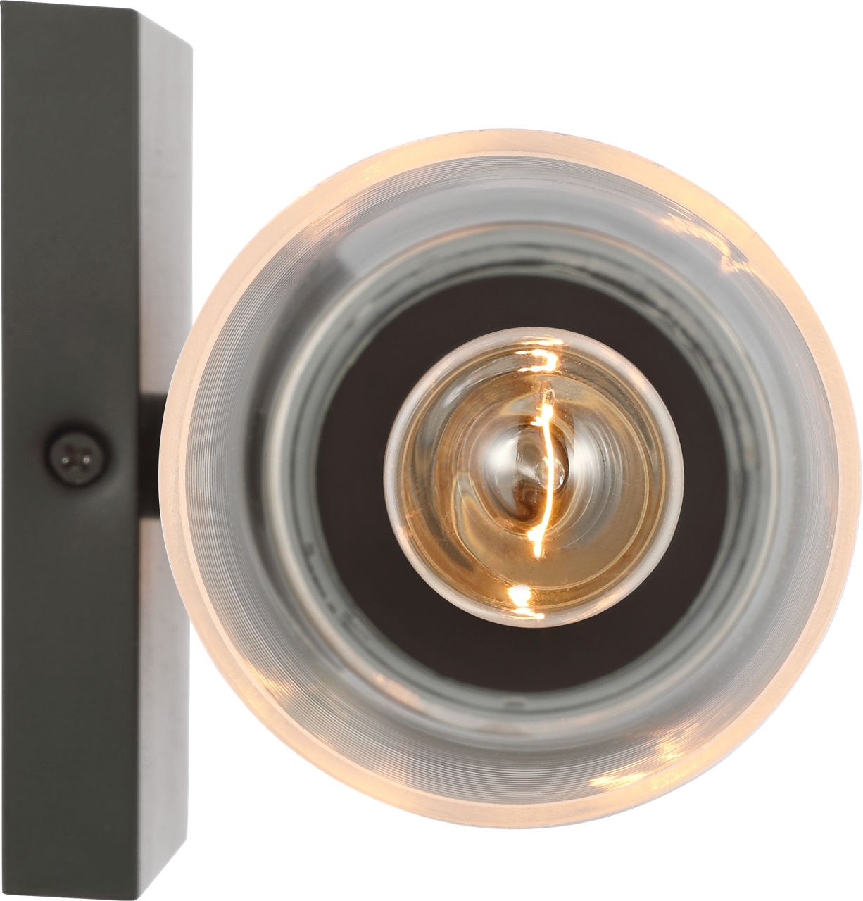 Sarita Medium Sconce Midnight Black