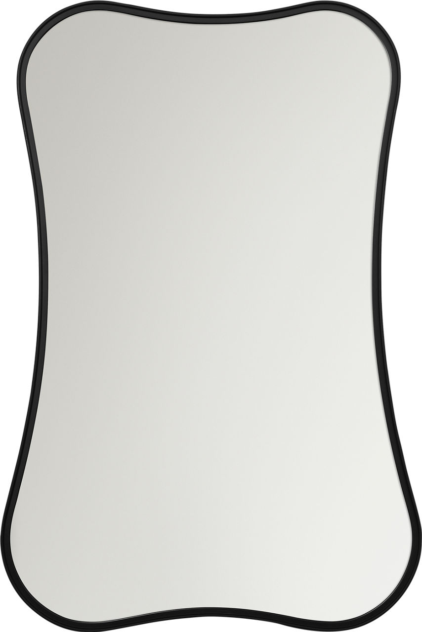 Cosway 24 x 36 Rectangular Mirror in Midnight Black