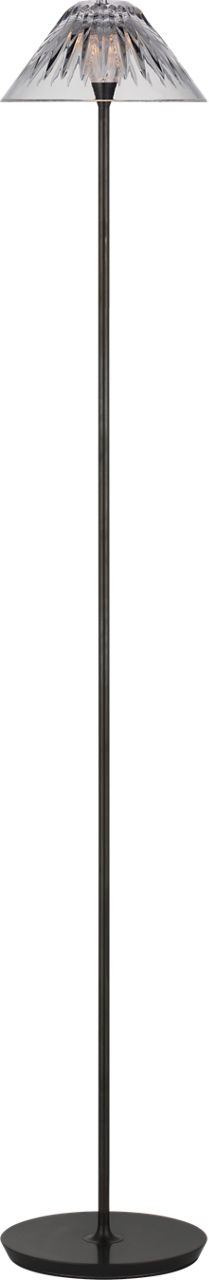 Blaze 55" Floor Lamp in Bronze with Clear Crystal