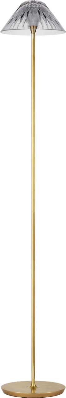 Blaze 55" Floor Lamp in Natural Brass with Clear Crystal